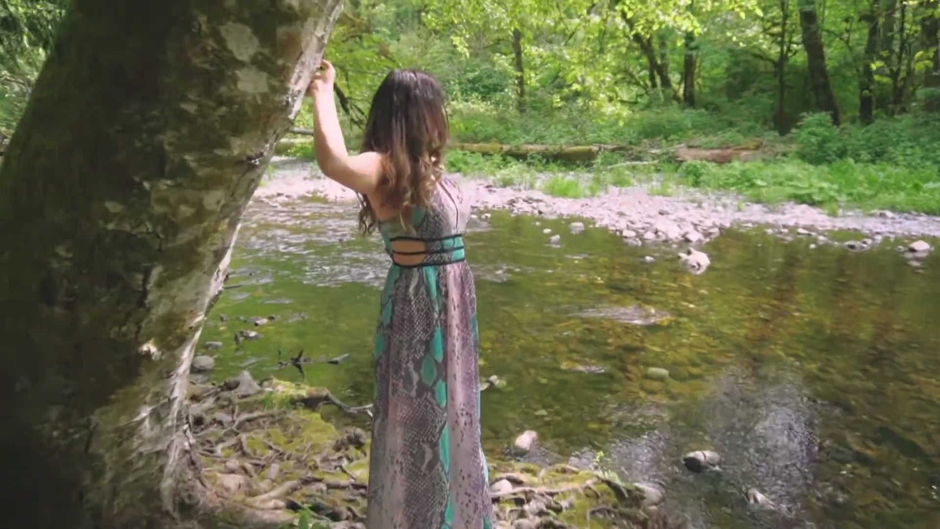 Video Cover